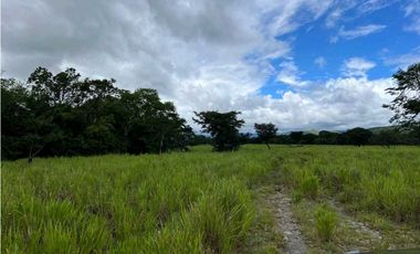 VENDO.500.HECTAREAS TOPOGRAFIA PLANA