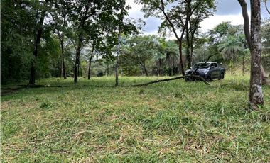 VENDO.500.HECTAREAS TOPOGRAFIA PLANA