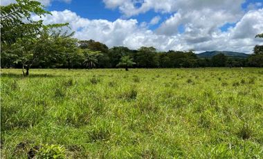 VENDO.500.HECTAREAS TOPOGRAFIA PLANA