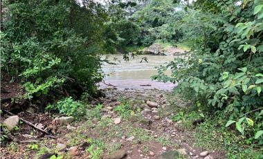 VENDO.500.HECTAREAS TOPOGRAFIA PLANA