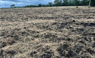 VENDO.500.HECTAREAS TOPOGRAFIA PLANA