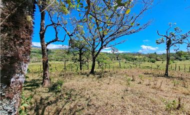 VENDO.FINCA DE 10 HECTAREAS 700M.SN.M. BOQUETE