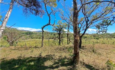 VENDO.FINCA DE 10 HECTAREAS 700M.SN.M. BOQUETE