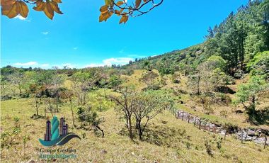 VENDO.FINCA DE 10 HECTAREAS 700M.SN.M. BOQUETE