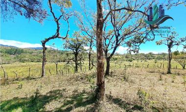 VENDO.FINCA DE 10 HECTAREAS 700M.SN.M. BOQUETE