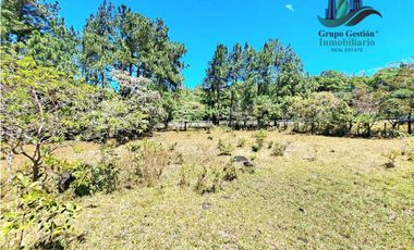 VENDO.FINCA DE 10 HECTAREAS 700M.SN.M. BOQUETE