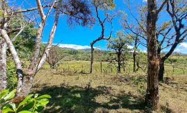VENDO.FINCA DE 10 HECTAREAS 700M.SN.M. BOQUETE