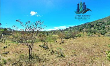 VENDO.FINCA DE 10 HECTAREAS 700M.SN.M. BOQUETE