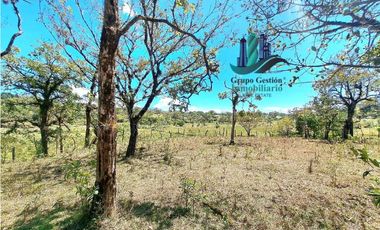 VENDO.FINCA DE 10 HECTAREAS 700M.SN.M. BOQUETE