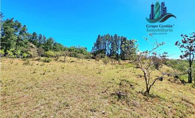 VENDO.FINCA DE 10 HECTAREAS 700M.SN.M. BOQUETE