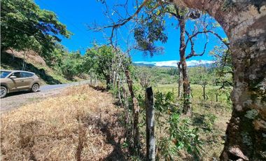 VENDO.FINCA DE 10 HECTAREAS 700M.SN.M. BOQUETE
