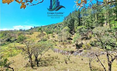 VENDO.FINCA DE 10 HECTAREAS 700M.SN.M. BOQUETE