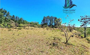 VENDO.FINCA DE 10 HECTAREAS 700M.SN.M. BOQUETE