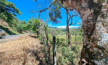 VENDO.FINCA DE 10 HECTAREAS 700M.SN.M. BOQUETE
