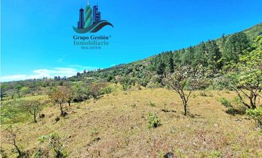 VENDO.FINCA DE 10 HECTAREAS 700M.SN.M. BOQUETE