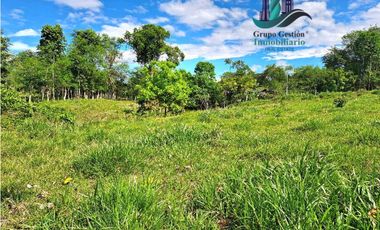 VENDO FINCA LA LINDA DE 4HECTAREAS + 5414MTS  SANTA ROSA