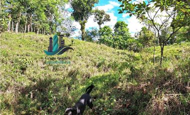 VENDO FINCA LA LINDA DE 4HECTAREAS + 5414MTS  SANTA ROSA