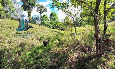 VENDO FINCA LA LINDA DE 4HECTAREAS + 5414MTS  SANTA ROSA