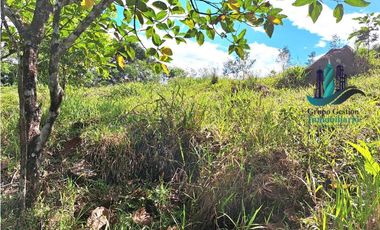 VENDO FINCA LA LINDA DE 4HECTAREAS + 5414MTS  SANTA ROSA