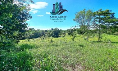 VENDO FINCA LA LINDA DE 4HECTAREAS + 5414MTS  SANTA ROSA