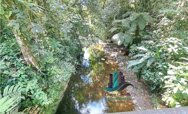 VENDO FINCA LA LINDA DE 4HECTAREAS + 5414MTS  SANTA ROSA