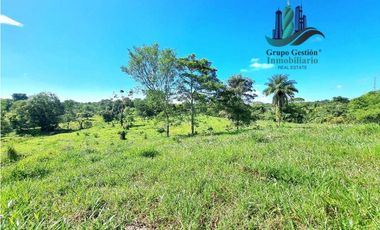 VENDO FINCA LA LINDA DE 4HECTAREAS + 5414MTS  SANTA ROSA