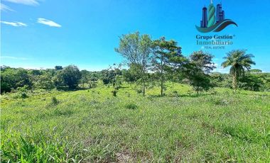 VENDO FINCA LA LINDA DE 4HECTAREAS + 5414MTS  SANTA ROSA