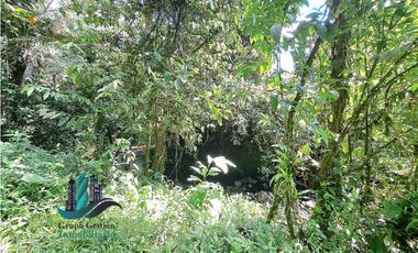 VENDO FINCA LA LINDA DE 4HECTAREAS + 5414MTS  SANTA ROSA