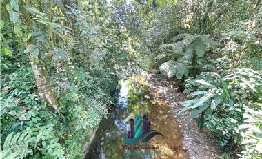 VENDO FINCA LA LINDA DE 4HECTAREAS + 5414MTS  SANTA ROSA