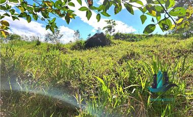 VENDO FINCA LA LINDA DE 4HECTAREAS + 5414MTS  SANTA ROSA