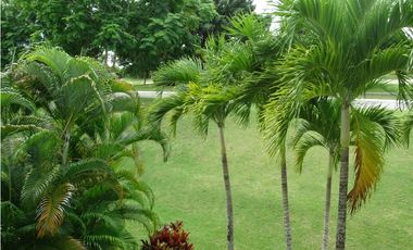 PH Rodman por $1,800.00 mensuales!