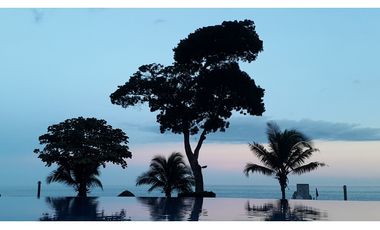 PH Rodman por $1,800.00 mensuales!