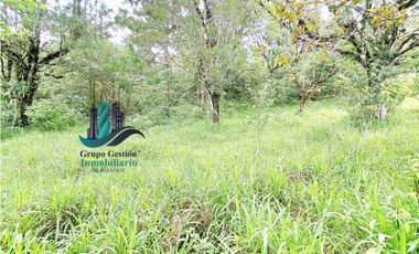VENDO VEINTI DOS HECTAREAS A 1320M.S.N.M. VISTA 360