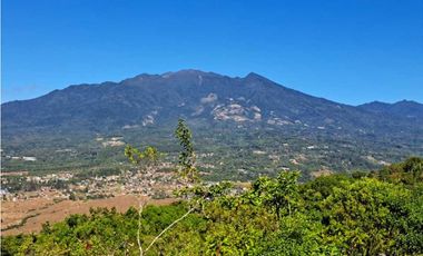 VENDO VEINTI DOS HECTAREAS A 1320M.S.N.M. VISTA 360