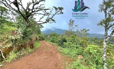 VENDO VEINTI DOS HECTAREAS A 1320M.S.N.M. VISTA 360