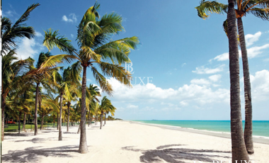 VENDO TERRENO BUENAVENTURA (6)