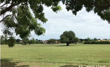 VENDO TERRENO BUENAVENTURA (6)