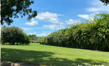 VENDO TERRENO BUENAVENTURA (6)