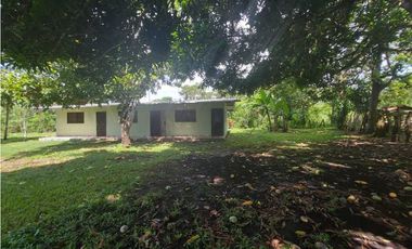 ALQUILO APARTAMENTO AMOBLADO- BAGALA
