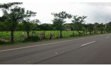 VENTA DE FINCA EN DAVID, CHIRIQUI, DOLEGA