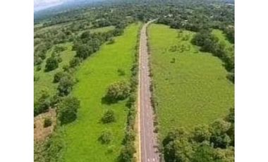 VENTA DE FINCA EN DAVID, CHIRIQUI, DOLEGA