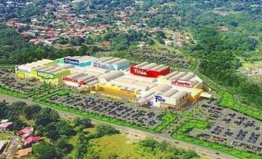 VENTA DE FINCA EN DAVID, CHIRIQUI, DOLEGA