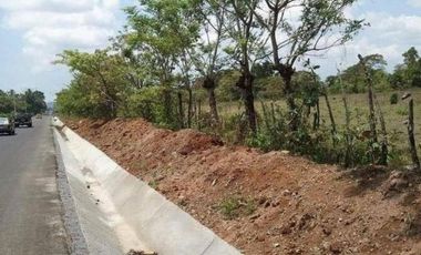 VENTA DE FINCA EN DAVID, CHIRIQUI, DOLEGA