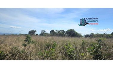 VENDO LOTE EN.ALTO BOQUETE 9000 M2