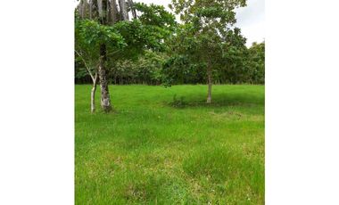 VENDO LOTE EN. POTRERILLO 6000 M2