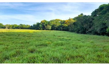 VENDO LOTE EN. POTRERILLO 6000 M2