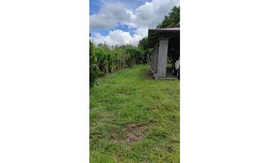 VENDO CASA Y TERRENO DE 2000M2 TINAJAS