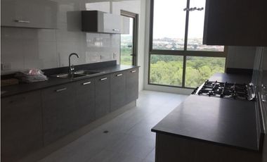 Venta Apartamento en Costa del Este, Edificio Park View
