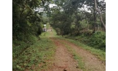 Vendo Terreno Nuevo Emperador Arraiján PRECIO DE REMATE