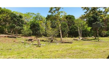 Vendo Terreno Nuevo Emperador Arraiján PRECIO DE REMATE